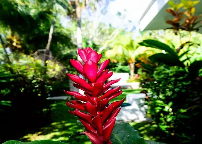 The Cedral Lodge Cozumel